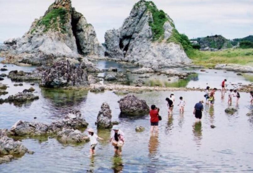 磯で遊ぼう「めおと岩」