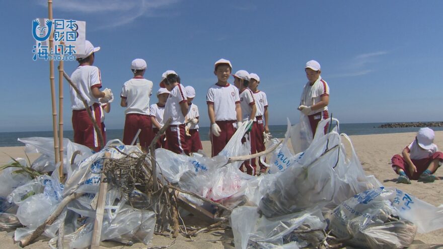 ウミガメの来る浜に。35年続く学校の伝統行事大夫浜小海岸清掃