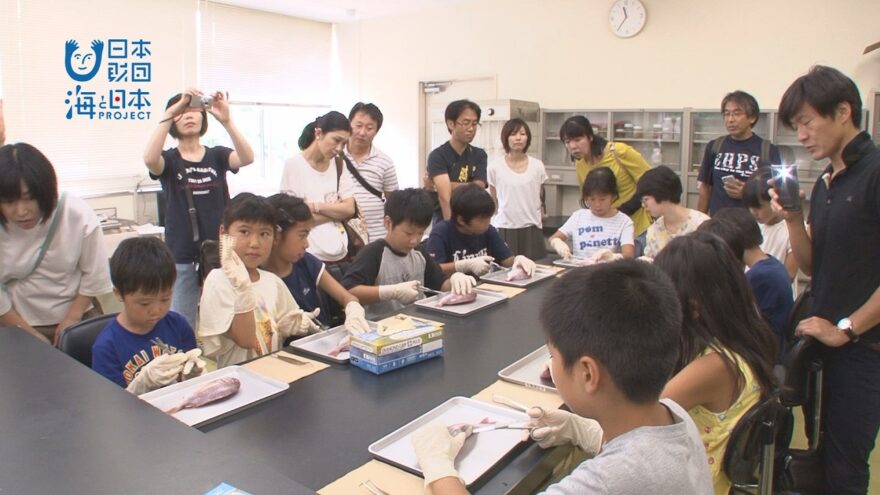 #23 楽しく学ぼう　海と魚！～新潟県水産海洋研究所