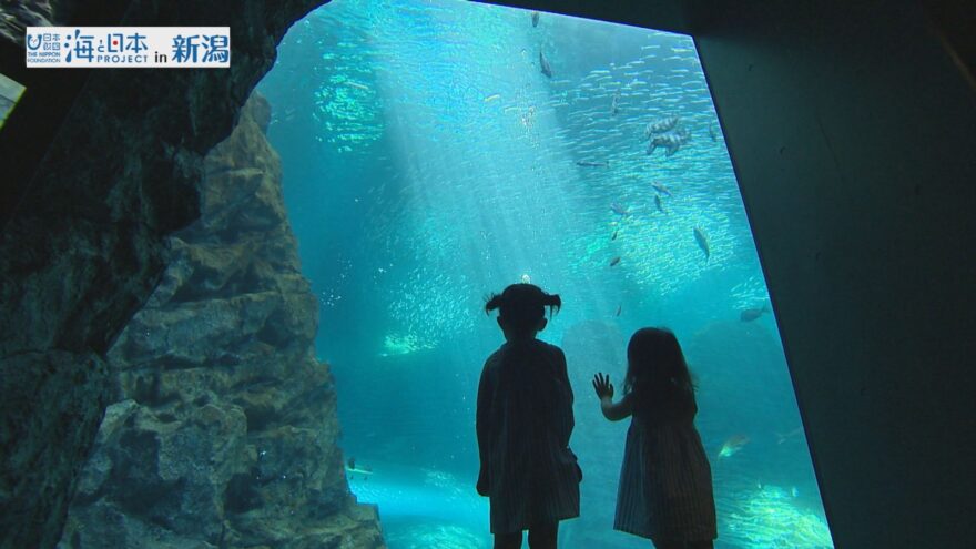 #12 NEWオープン！上越市立水族館「うみがたり」