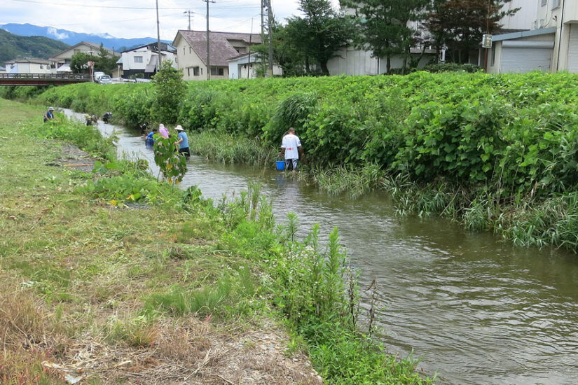 生きもの観察会参加者募集