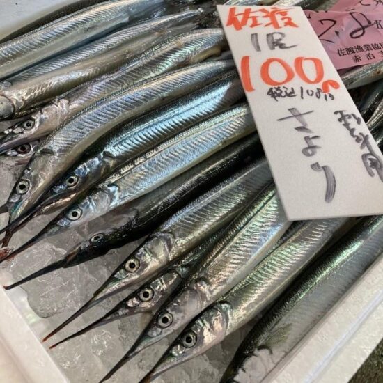 【おうちで海活】目指せ！魚の漢字博士