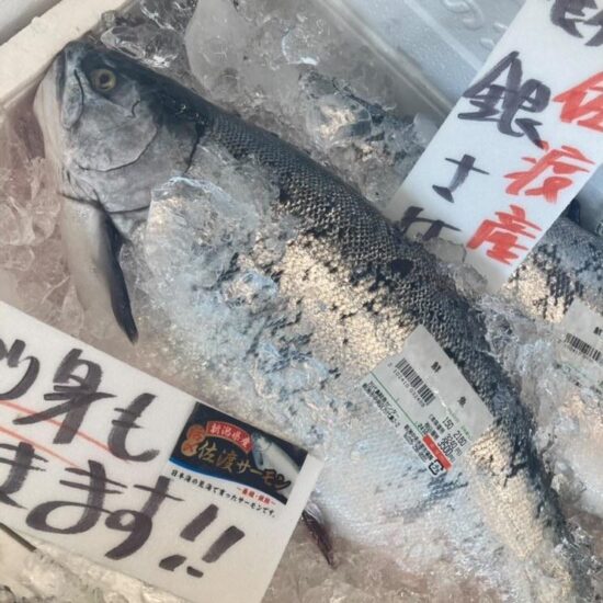 【おうちで海活】季節限定！！佐渡ブランド