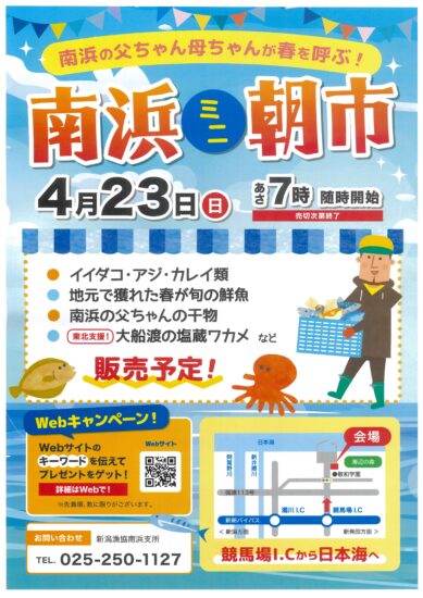 【獲れたての魚を味わおう！】南浜ミニ朝市開催