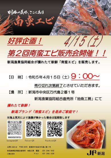 獲れたて新鮮！南蛮エビ販売会開催