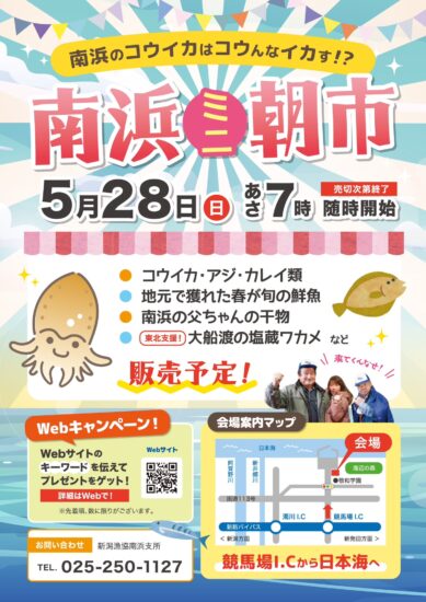 【南浜ミニ朝市開催】南浜のコウイカはコウんなイカす！？