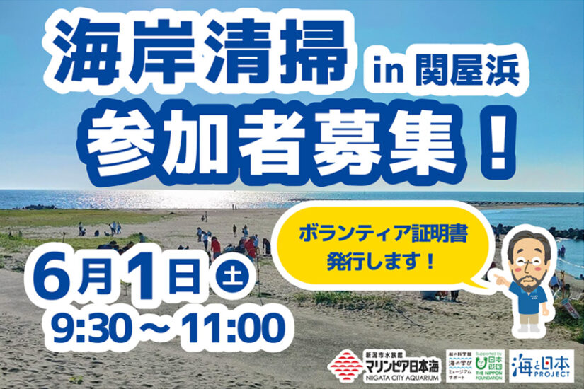【関屋浜】海岸清掃参加者募集！