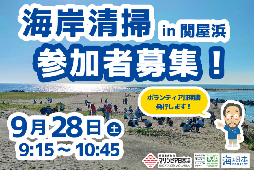 【関屋浜】海岸清掃参加者募集！