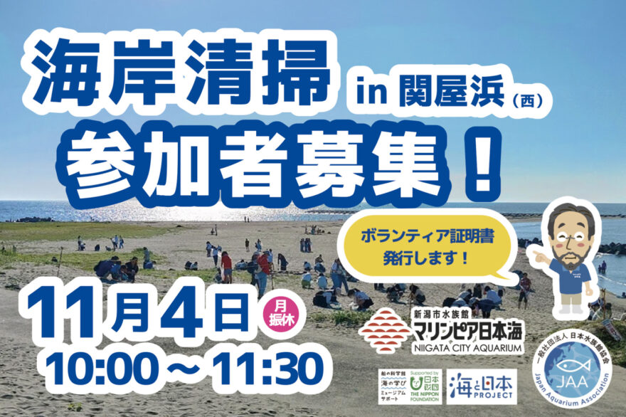 【関屋浜】海岸清掃参加者募集！