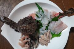 【海のキッズサポーター】カメラ目線「オニオコゼ」