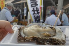 【海のキッズサポーター】南浜朝市レポ：格安鮮魚に活魚、天然岩牡蠣も大人気！