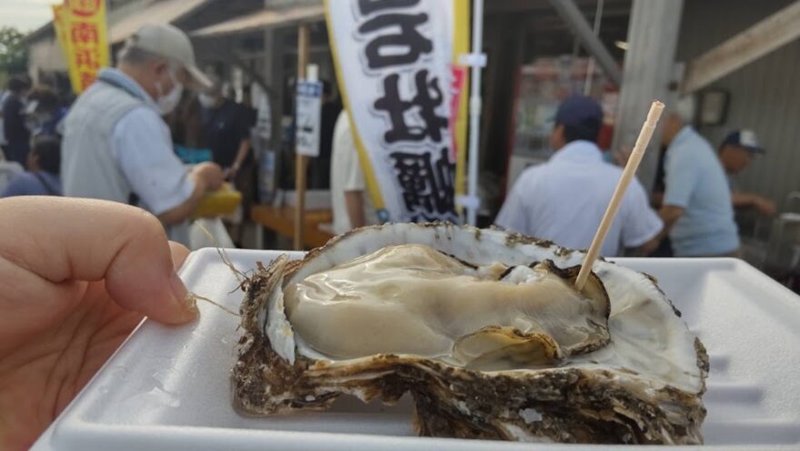 【海のキッズサポーター】南浜朝市レポ：格安鮮魚に活魚、天然岩牡蠣も大人気！