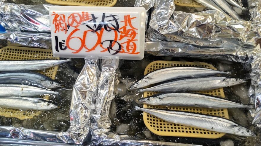【海のキッズサポーター】今年のサンマはもう食べた？旬の味覚情報