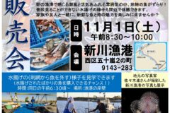 【11月1日開催決定】朝の漁港で、獲れたての魚と活気を体感しよう！