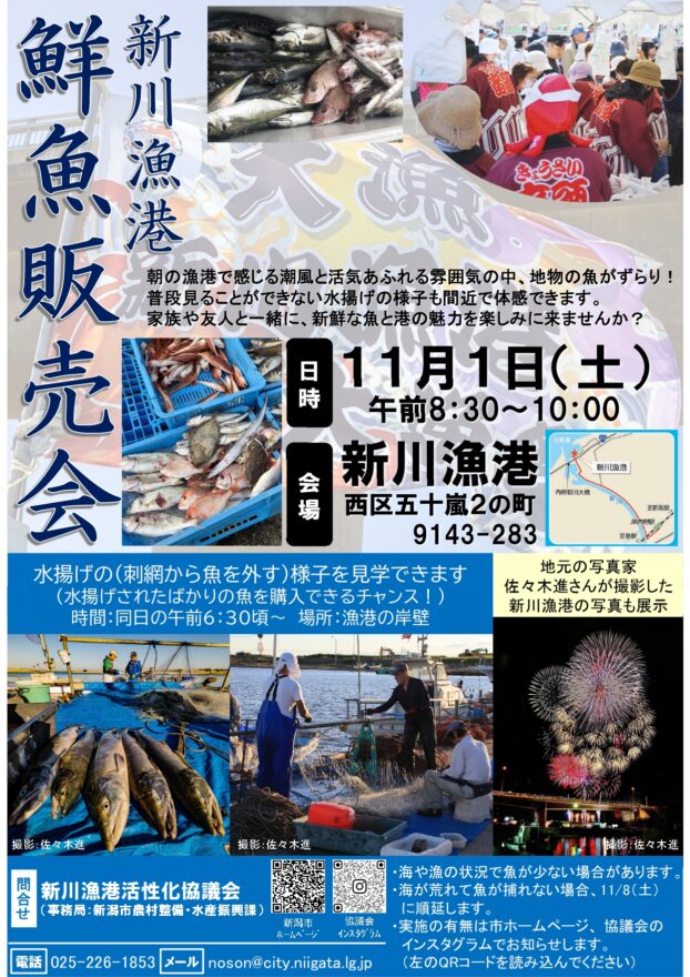 【11月1日開催決定】朝の漁港で、獲れたての魚と活気を体感しよう！