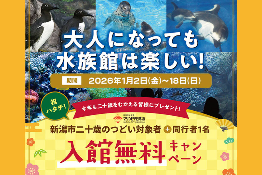 新潟市二十歳のつどい 対象者と同行１名様 入館料無料