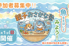 参加者募集！親子おさかな塾（BSN）