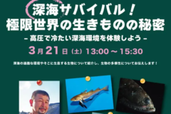 マリンピアカレッジ【参加者募集】