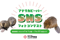 SNS「ビーバー！」フォトコンテスト作品募集（ 3/1～3/22）